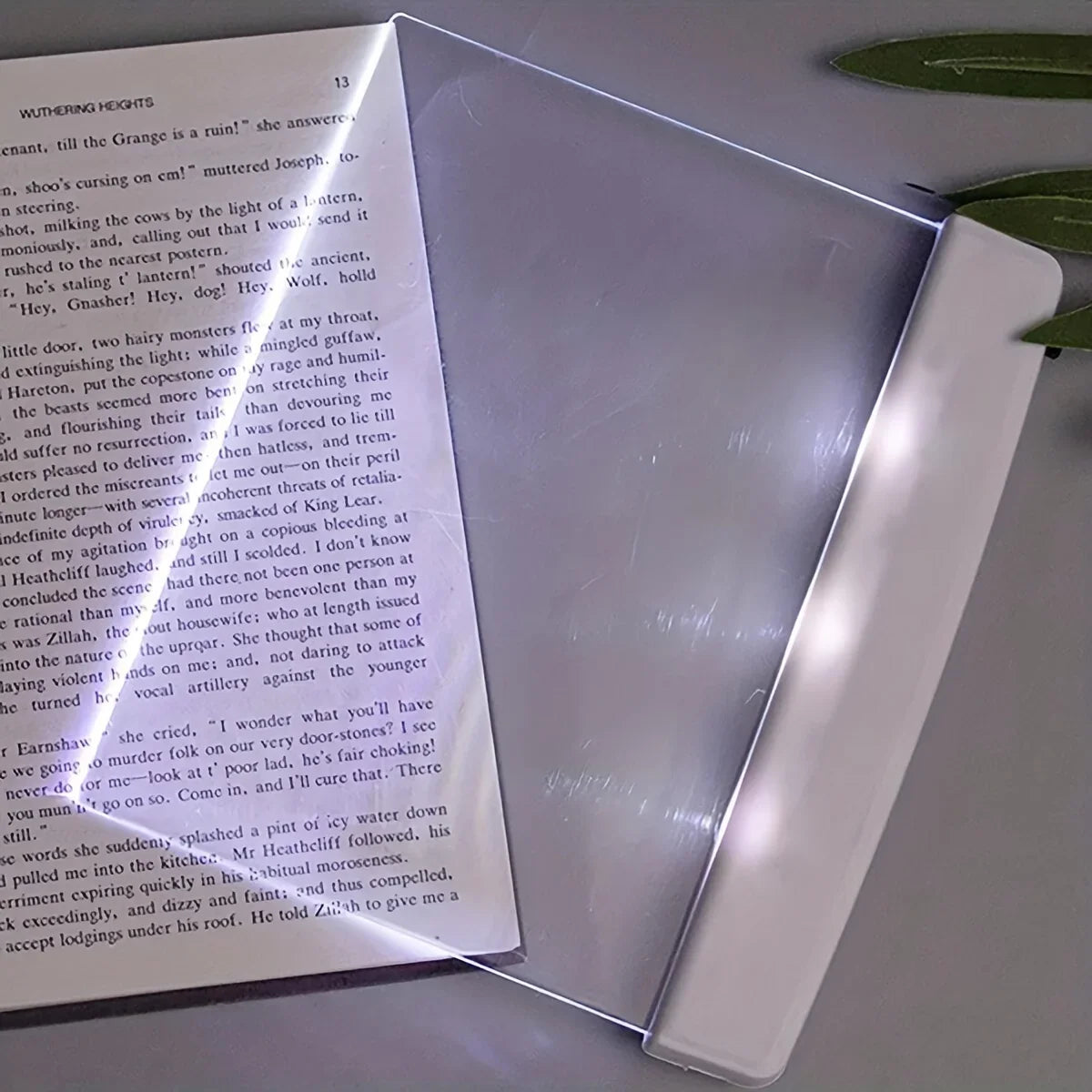 Flat LED Night Reading Light